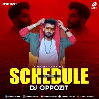 Schedule (Remix) - DJ Oppozit